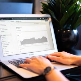 a white label SEO specialist checking website stats on Google Search Console